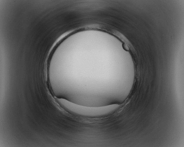 X0000083061036200703022129