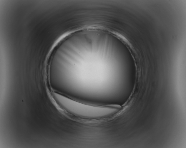 X0000083061038200703022129