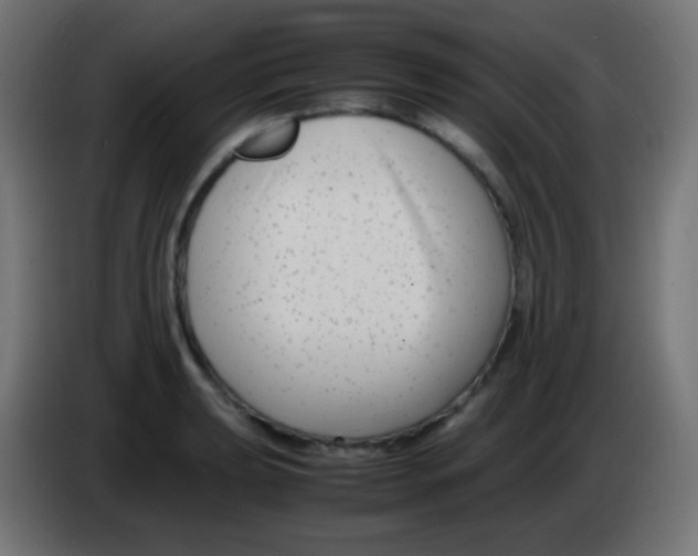 X0000083061039200703022129