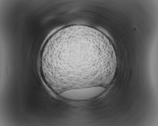 X0000083061040200703022129