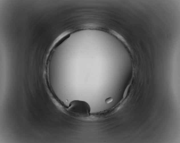 X0000083061042200703022129