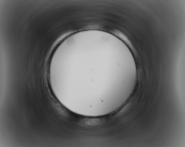 X0000083061043200703022129