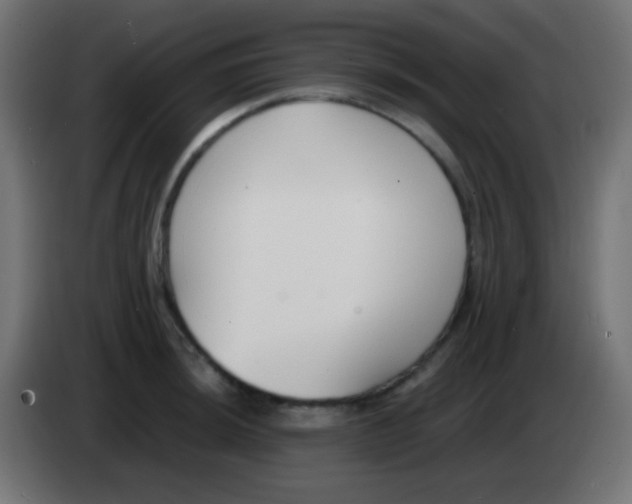 X0000083061044200703022129