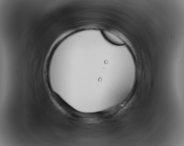 X0000083061045200703022129