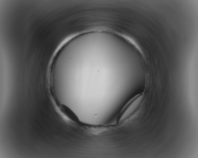 X0000083061046200703022129