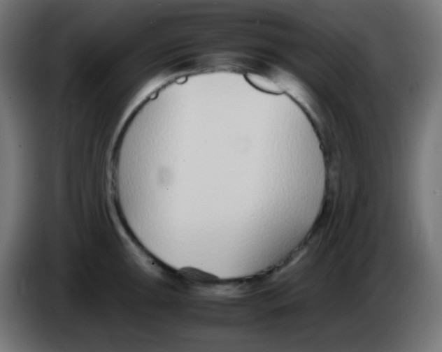 X0000083061047200703022129