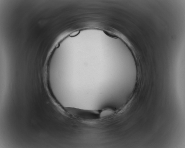 X0000083061048200703022129