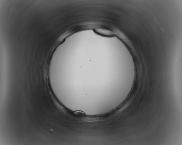 X0000083061049200703022129