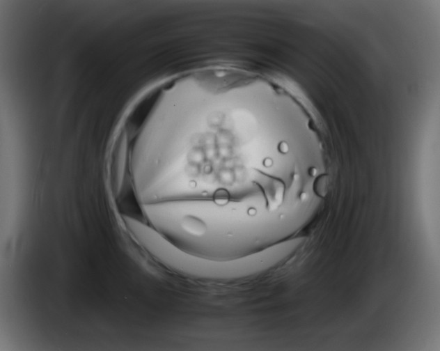 X0000083061051200703022129