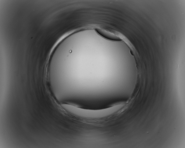 X0000083061052200703022129