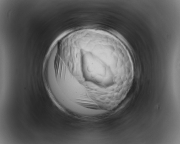 X0000083061053200703022129