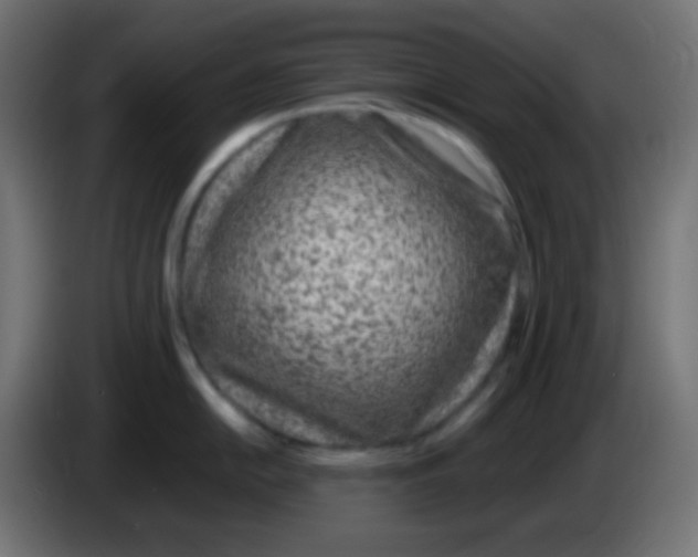 X0000083061054200703022129