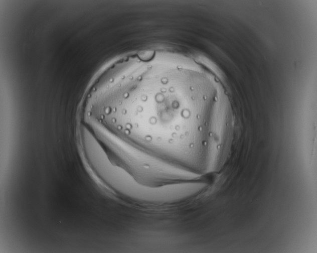 X0000083061055200703022129