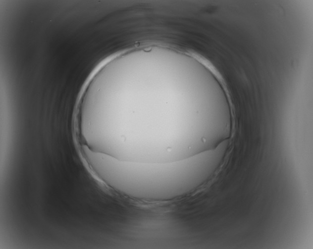 X0000083061056200703022129