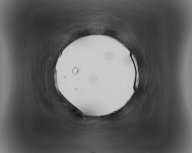 X0000083061057200703022128