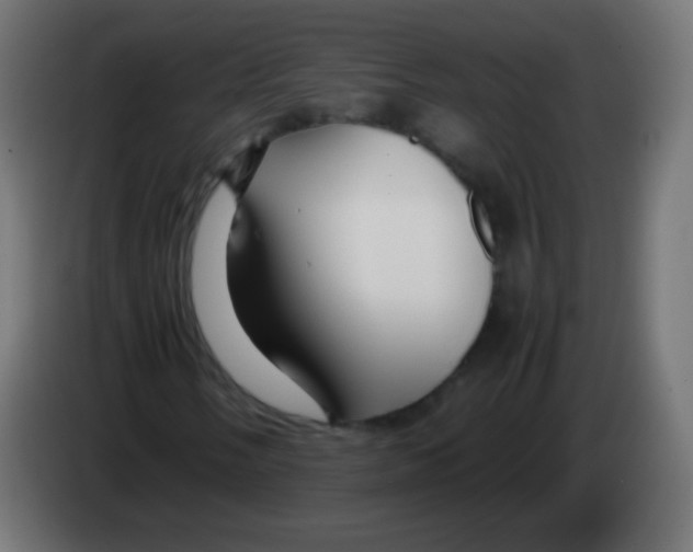 X0000083061058200703022128