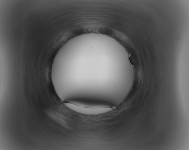 X0000083061060200703022128