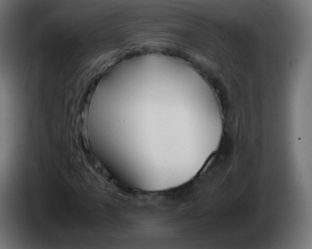 X0000083061061200703022128