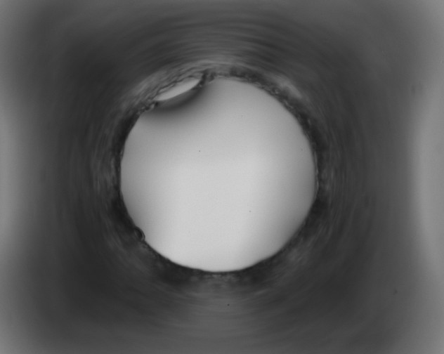 X0000083061062200703022128