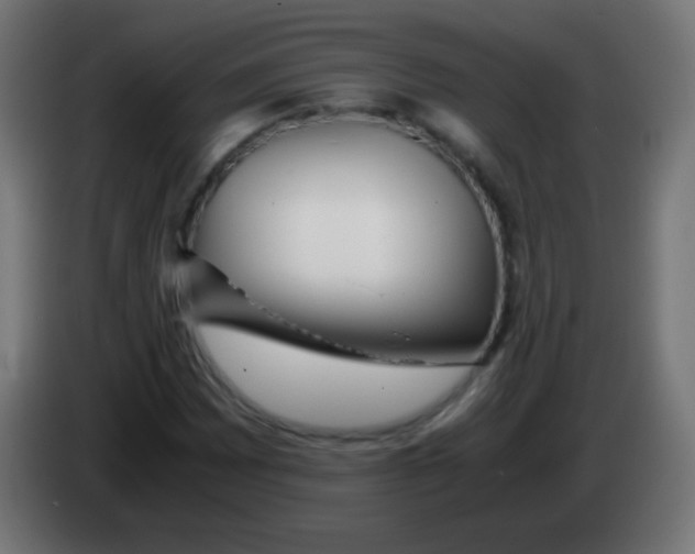 X0000083061065200703022128