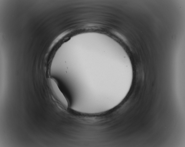 X0000083061066200703022128