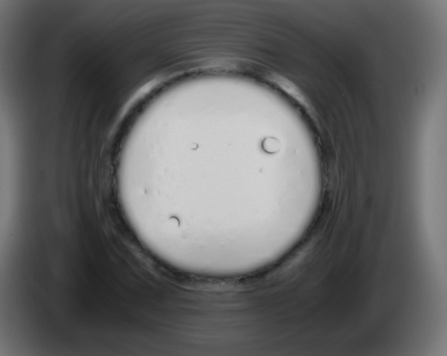 X0000083061067200703022128