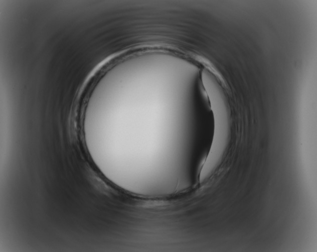 X0000083061068200703022128