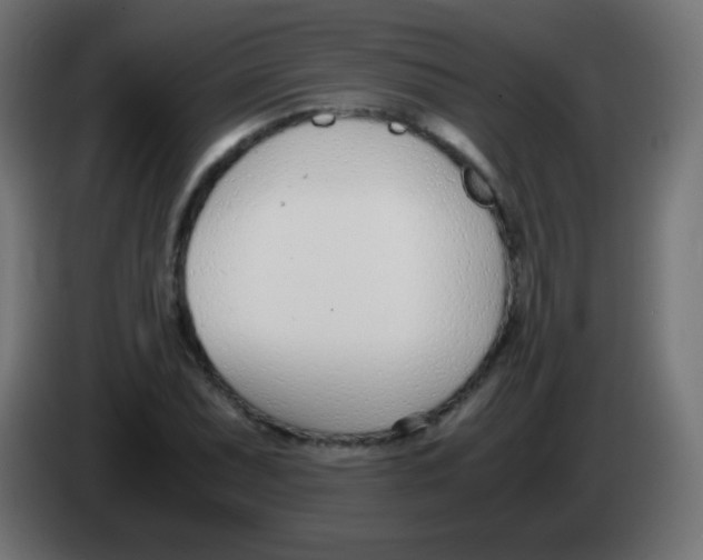 X0000083061071200703022128