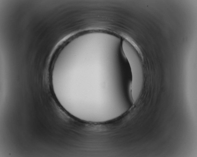 X0000083061072200703022128