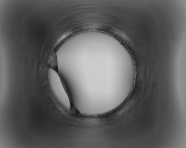 X0000083061073200703022128