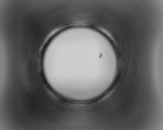 X0000083061075200703022128