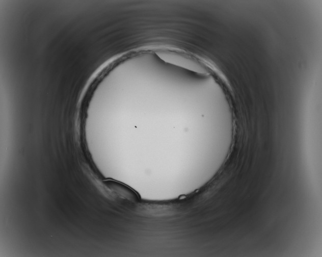 X0000083061076200703022128