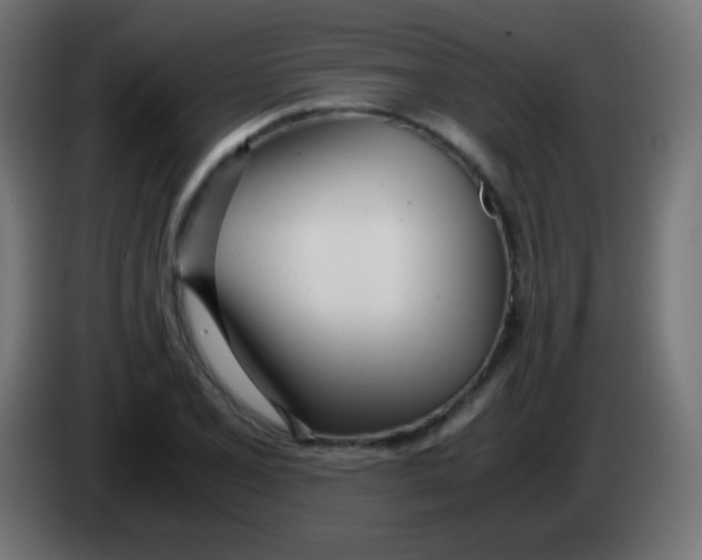 X0000083061077200703022128