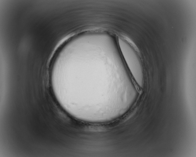 X0000083061079200703022128