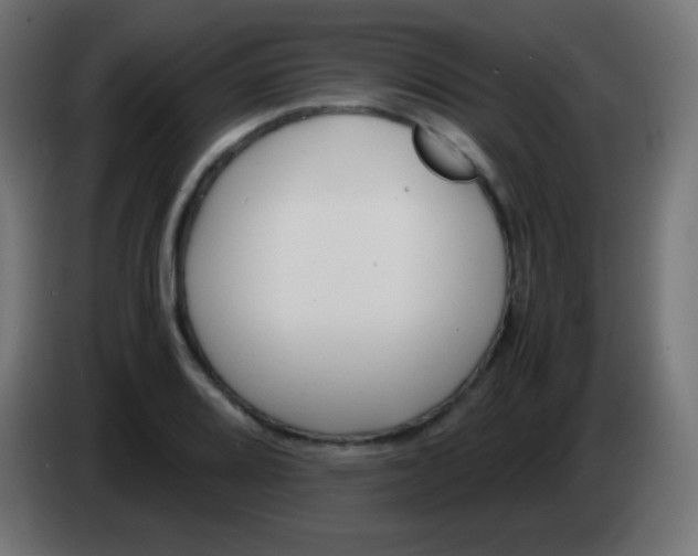 X0000083061080200703022128