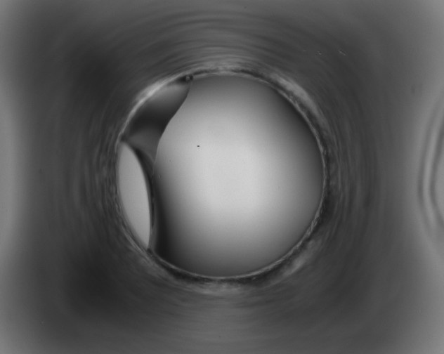 X0000083061081200703022128