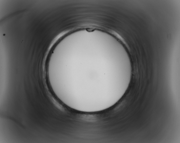 X0000083061082200703022128