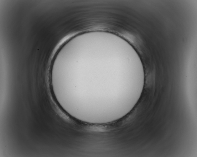 X0000083061086200703022128