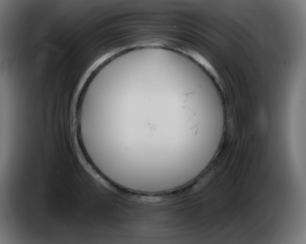 X0000083061088200703022128