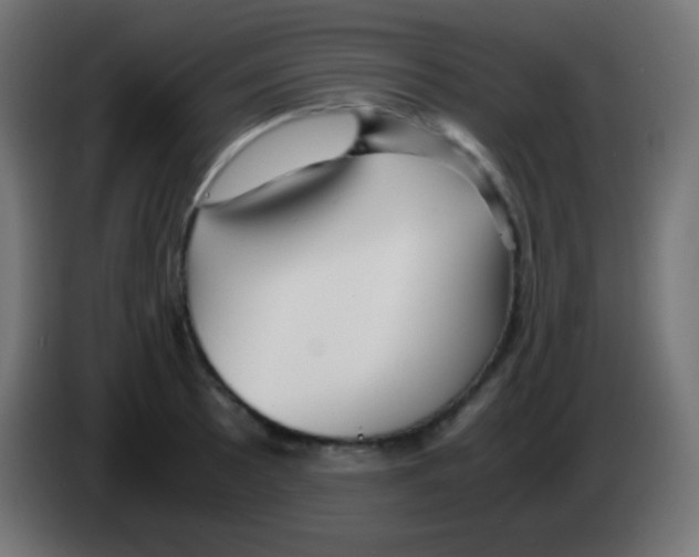 X0000083061089200703022128