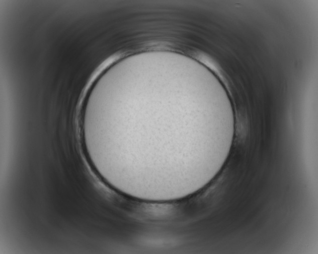 X0000083061090200703022128