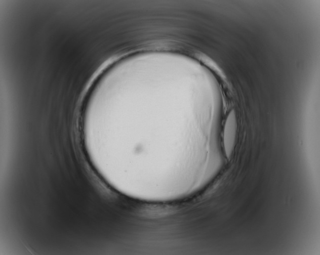 X0000083061091200703022128