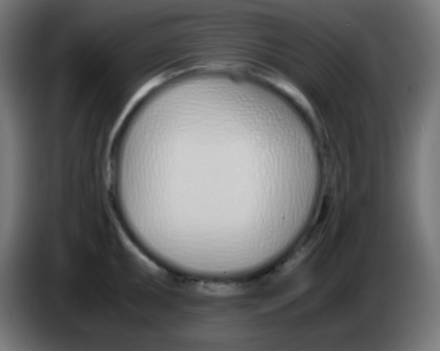 X0000083061095200703022128