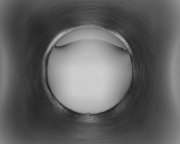 X0000083061096200703022128