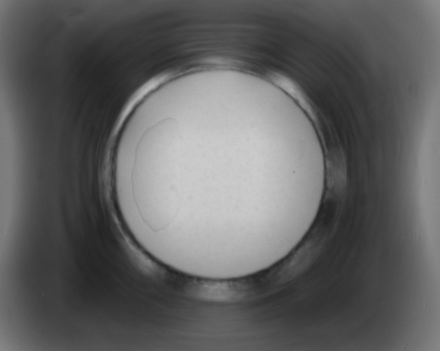 X0000083061098200703022128