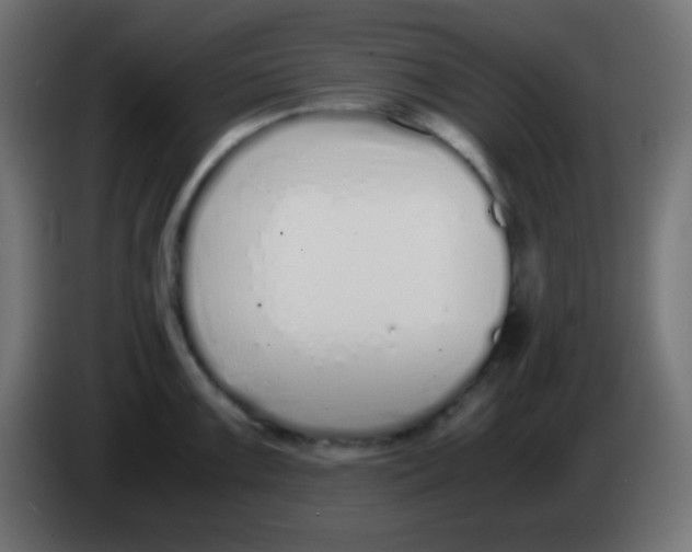 X0000083061099200703022128