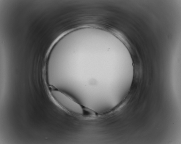 X0000083061100200703022128