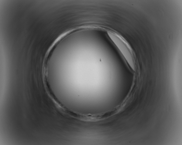 X0000083061101200703022128