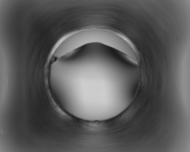 X0000083061102200703022128