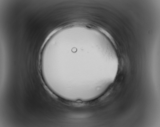 X0000083061103200703022128